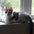 Julie Bartos's profile image