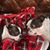 Ed Searle's profile image