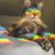 Katharine Elizabeth Self's profile image