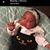 Diane Bruno's profile image