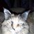 Marilyn Wyke's profile image