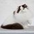 Tracey Versaw Weaver's profile image