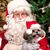 Giz Mo's profile image