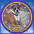 Crystal Dersam's profile image