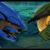 Rodolfo Antonio Mendez Ortiz's profile image