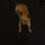 George Echert's profile image