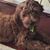 Judi Garbarino Willard's profile image