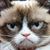 Tom Gan's profile image