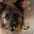 Diane Smith's profile image