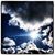 Shawna Marie's profile image