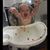 Chris Wikoff's profile image