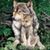 Harriet Gainey's profile image