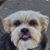 Linda Finchum's profile image