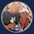 Lori Horbeck's profile image