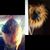Octavia J Anderson's profile image