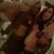 Kayla Lanier's profile image
