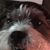 Jerry Becraft's profile image