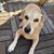 Marcia Klingensmith's profile image