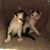 Karen Alton Johnson's profile image