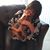 Vivian Sarria's profile image