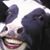 Dustin Edward McCreery's profile image