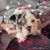 Kim Tedeschi's profile image