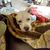 Marcie Hofford Svitoris's profile image