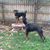 Sharon Aronson's profile image