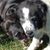 Rebecca Jo Ruhappy's profile image