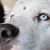 Cindy Cartolano-Tallent's profile image