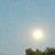 Flor Flores's profile image