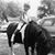 Judy Krason's profile image