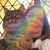 Martha Mattes's profile image