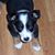 Diane Fry's profile image