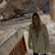 Kimberly Albrecht's profile image