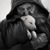 Jim Mayotte's profile image