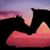 Cindy Sexton Rodriguez's profile image