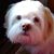 Kathy Young's profile image