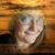 Doris Boyer-Ortega's profile image