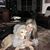Tara Rohland Crabb's profile image