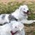 Jeanne Hatherill Atkins's profile image