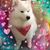Melissa J Tompkins's profile image