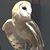 Kay Govocek's profile image