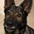 Ray R. Canales's profile image