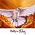 Amy C Unfried's profile image