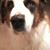 Arlene Weinstock Kratz's profile image