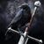 Nathan Alber's profile image
