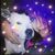Rachel Megan's profile image
