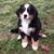 Mary Jo Pare's profile image