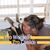 Tess Lauterbach's profile image
